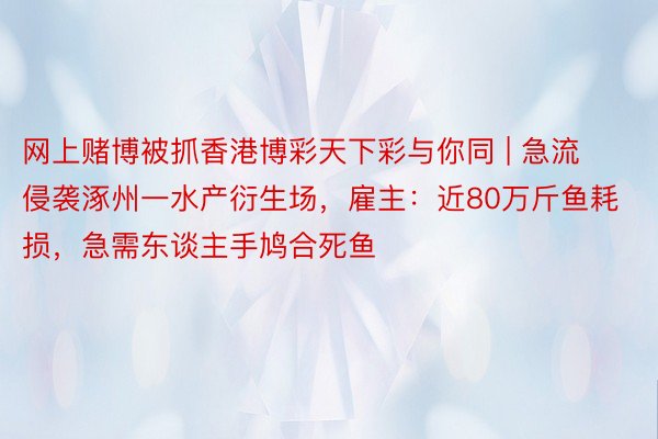 网上赌博被抓香港博彩天下彩与你同 | 急流侵袭涿州一水产衍生场，雇主：近80万斤鱼耗损，急需东谈主手鸠合死鱼